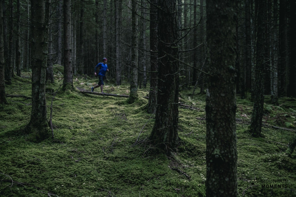 The trail is well signposted and leads along narrow hiking trails and less frequented forest and hiking paths through relaxed forest and meadow terrain.