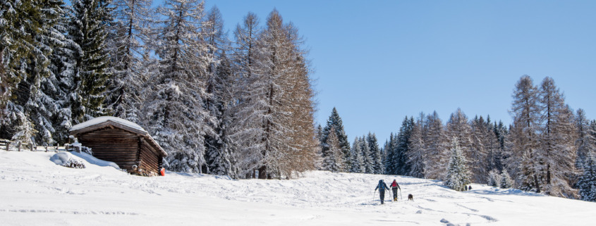 Innsbruck: The 10 Most Beautiful Easy Ski Tours For Beginners (Locations, Tips & Tricks)